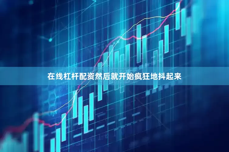 在线杠杆配资然后就开始疯狂地抖起来