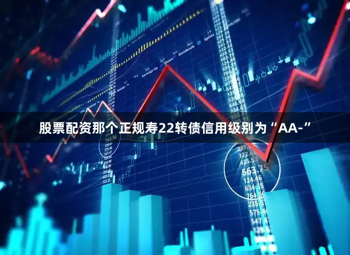 股票配资那个正规寿22转债信用级别为“AA-”