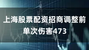 上海股票配资招商调整前单次伤害473